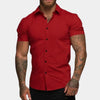 Männlicher, taillierter kurzarmhemd - vielseitige button-down bluse für modernen stil